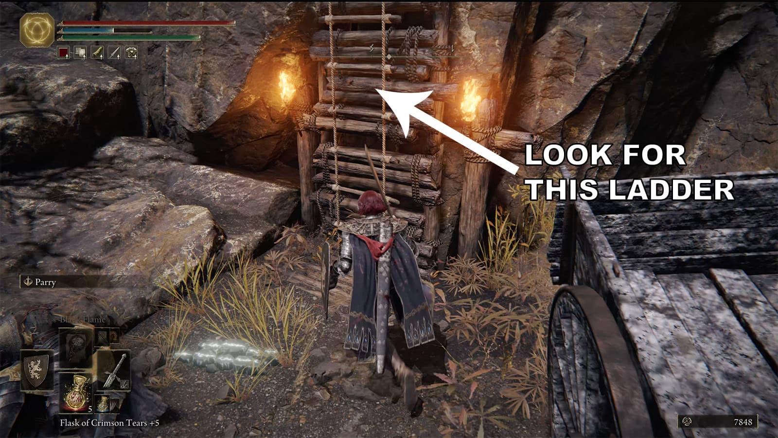 An image of an Elden Ring character approaching a ladder